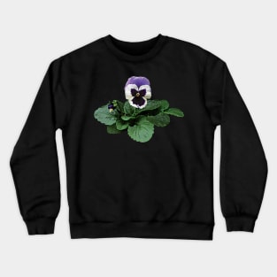 Pansies - Pansy Takes a Bow Crewneck Sweatshirt